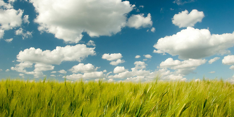 Veranderend klimaat? Daar teken ik voor!